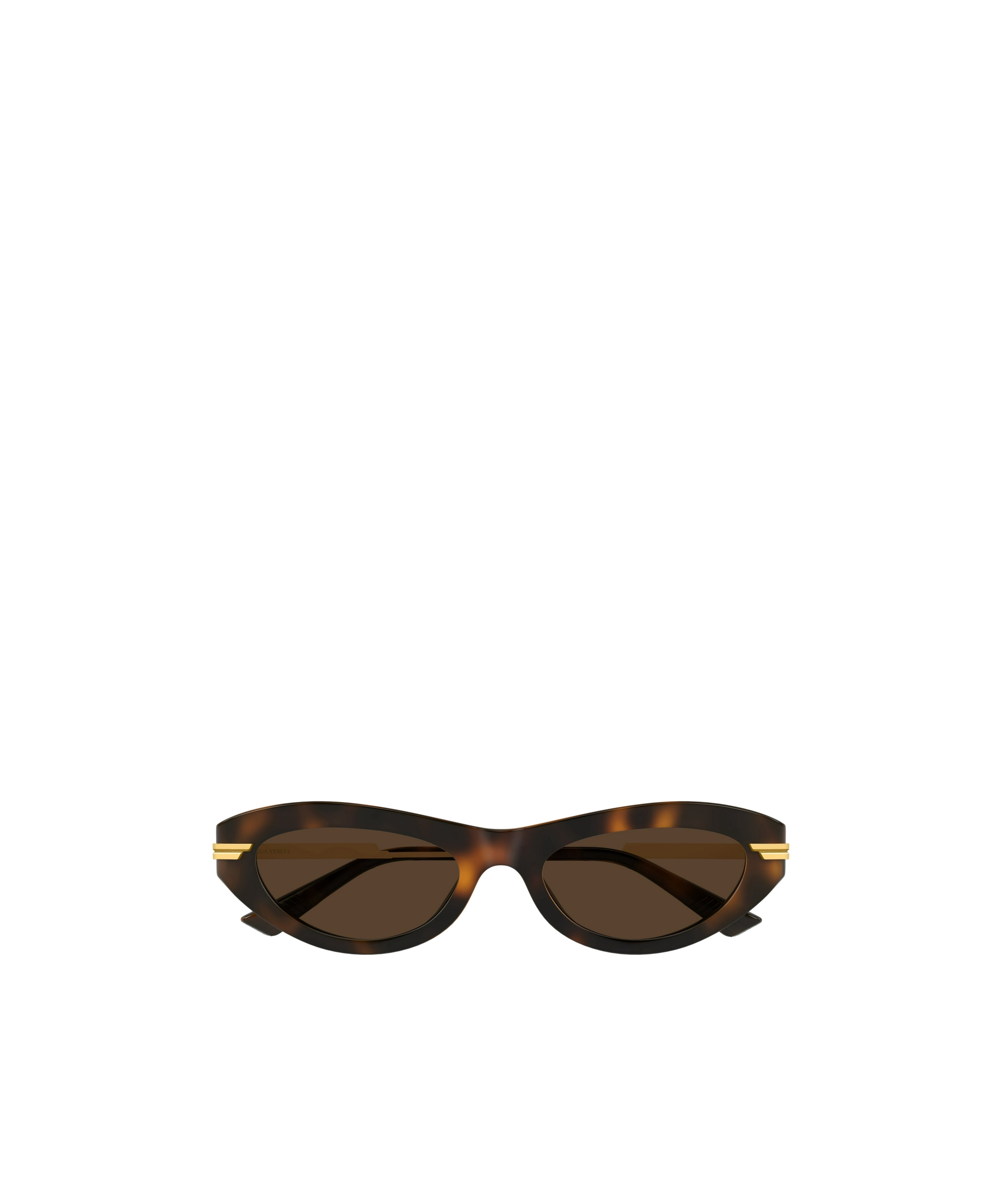 Shop Bottega Veneta Eyewear Panthos Frame Sunglasses In Brown