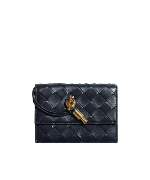 Bottega Veneta Andiamo Zipped Card Case In Black