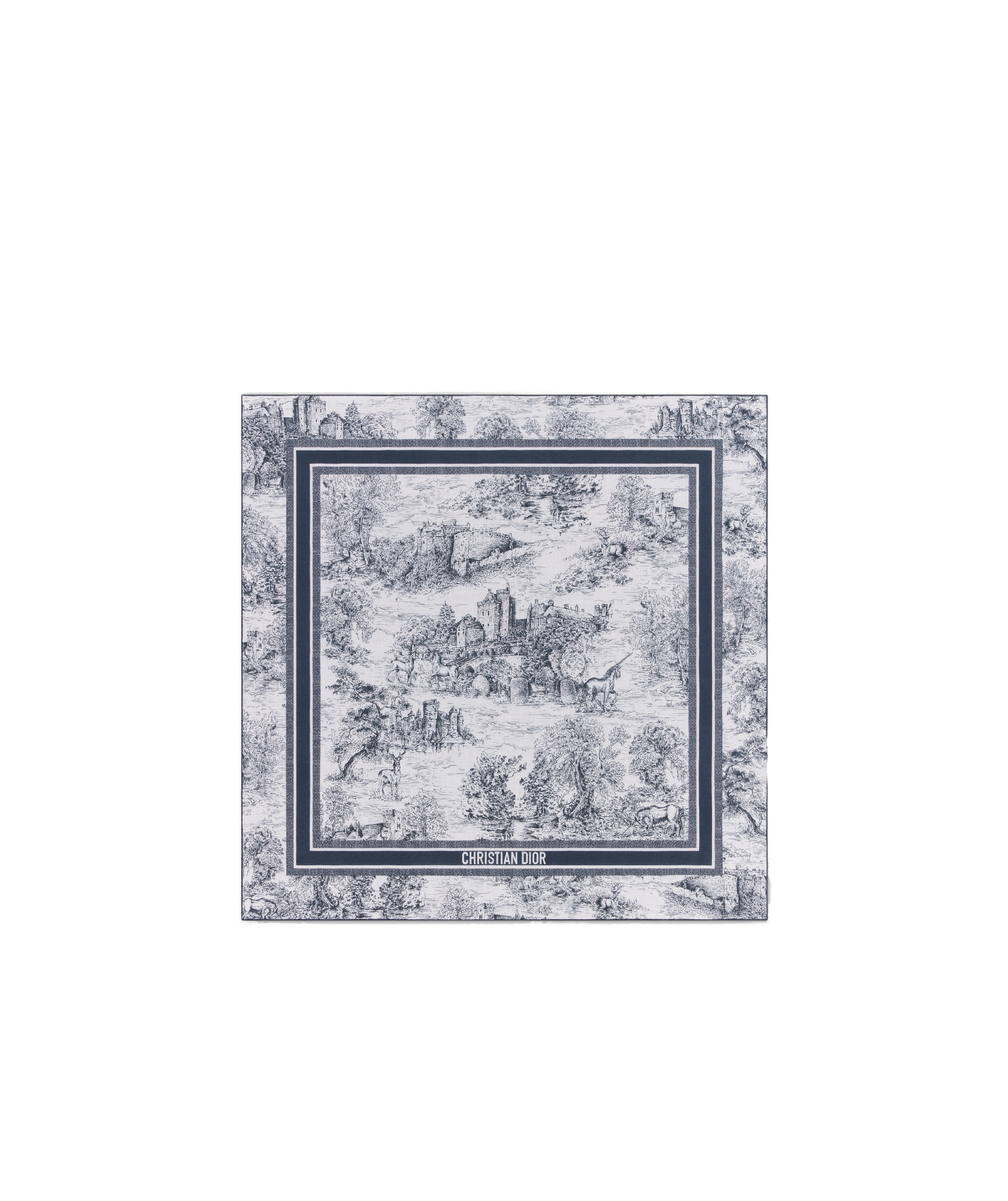Dior Printed Scarf In Gray