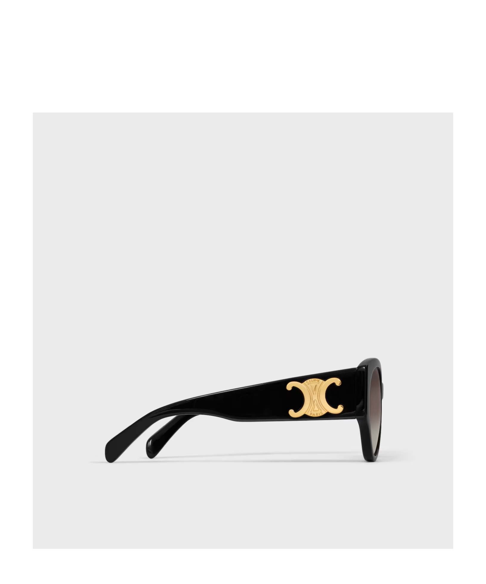 Celine Triomphe Xl 03 Sunglasses In Acetate In Brown