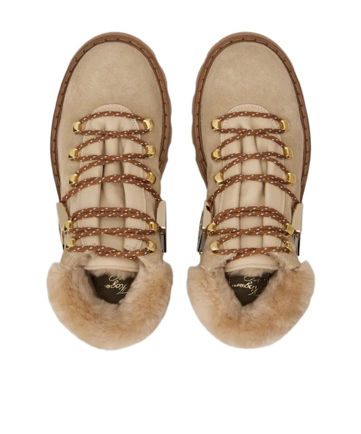 Roger Vivier Viv' Rangers Truck Booties In Suede In Brown