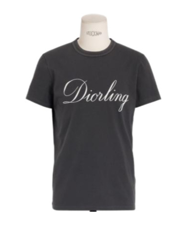 Dior Round Neck Short Sleeve T-shirt In Black