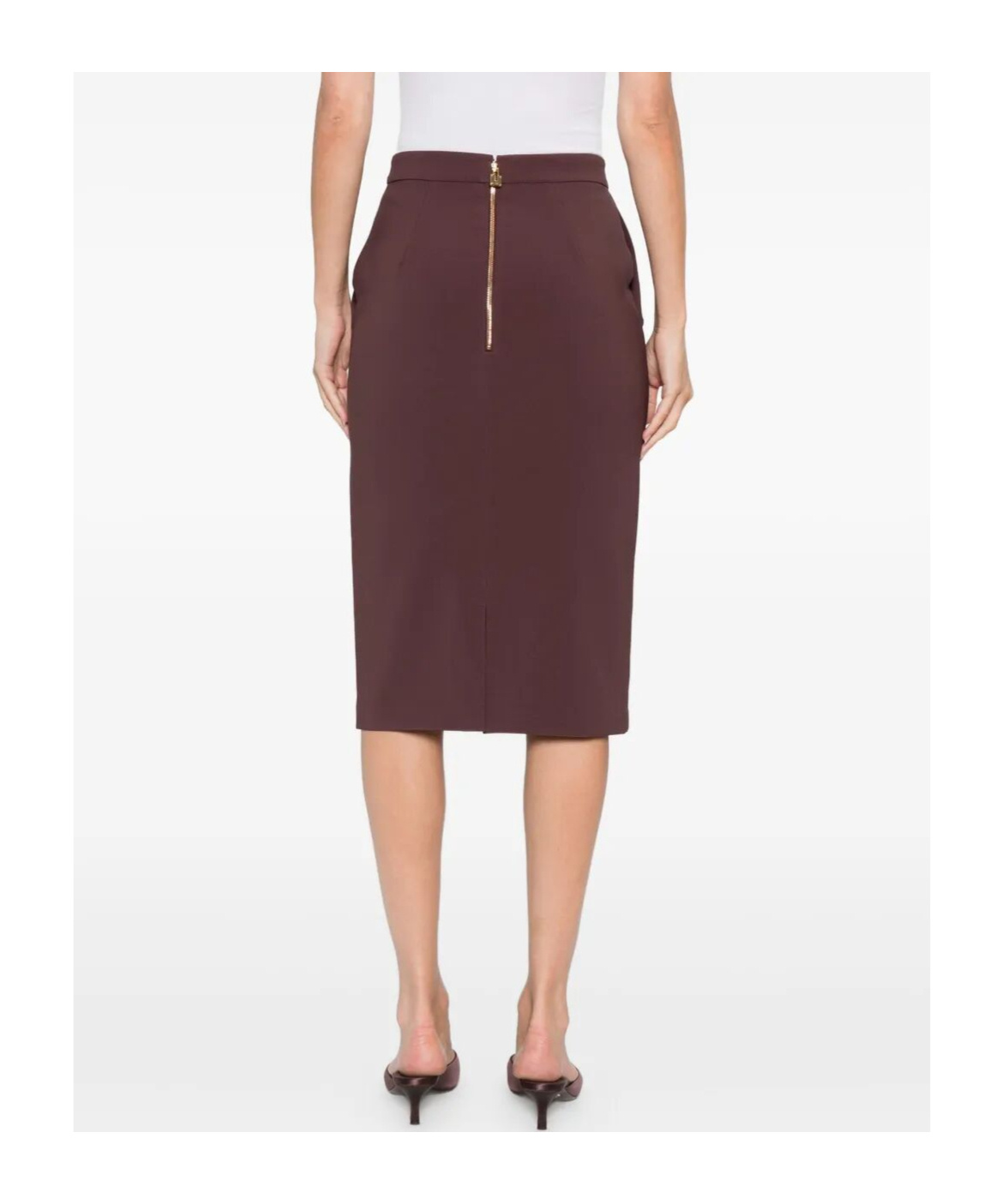Elisabetta Franchi Button-fastening Pencil Skirt In Brown