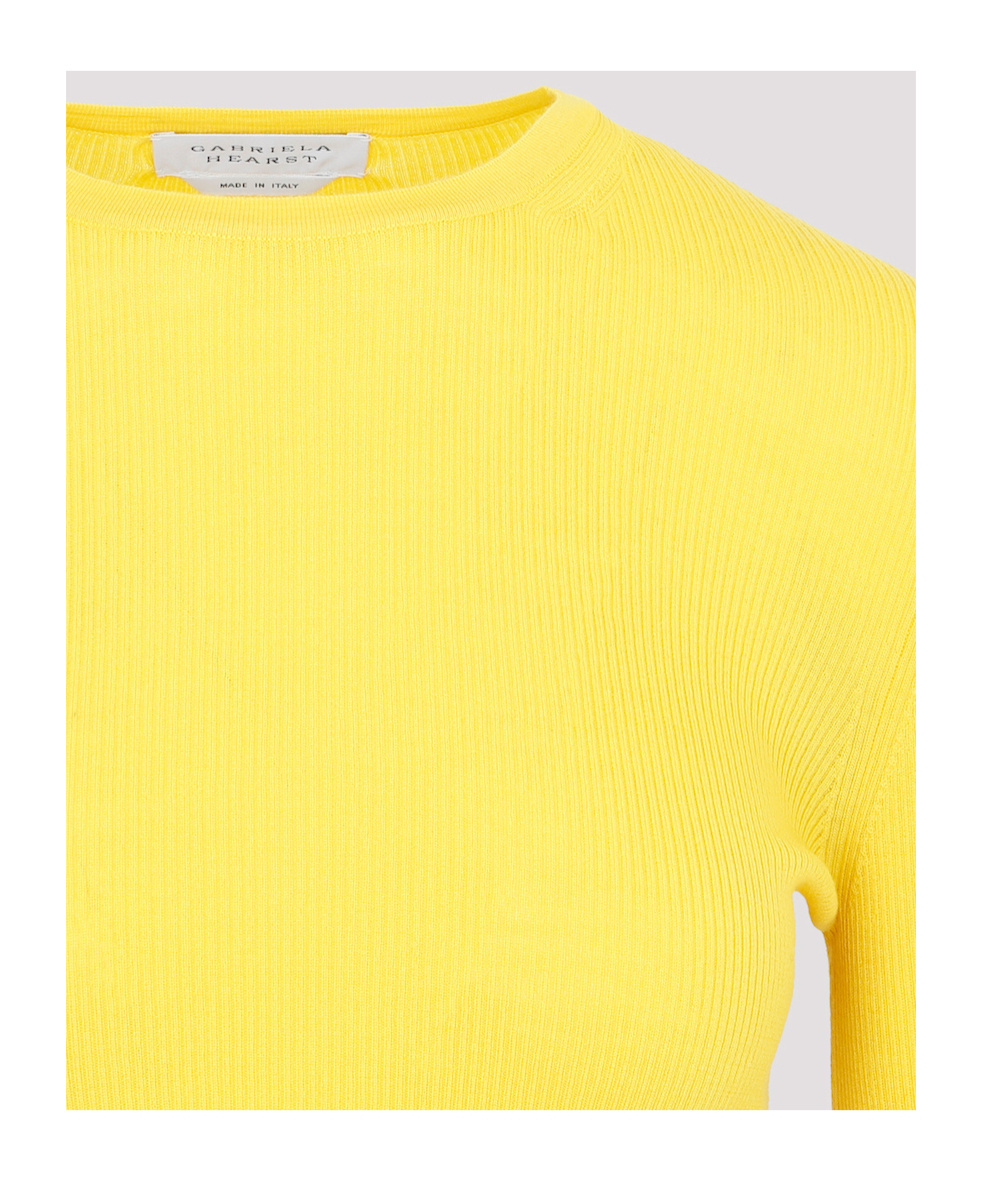 Gabriela Hearst Ribbed-knit Merino Wool Top In Yellow