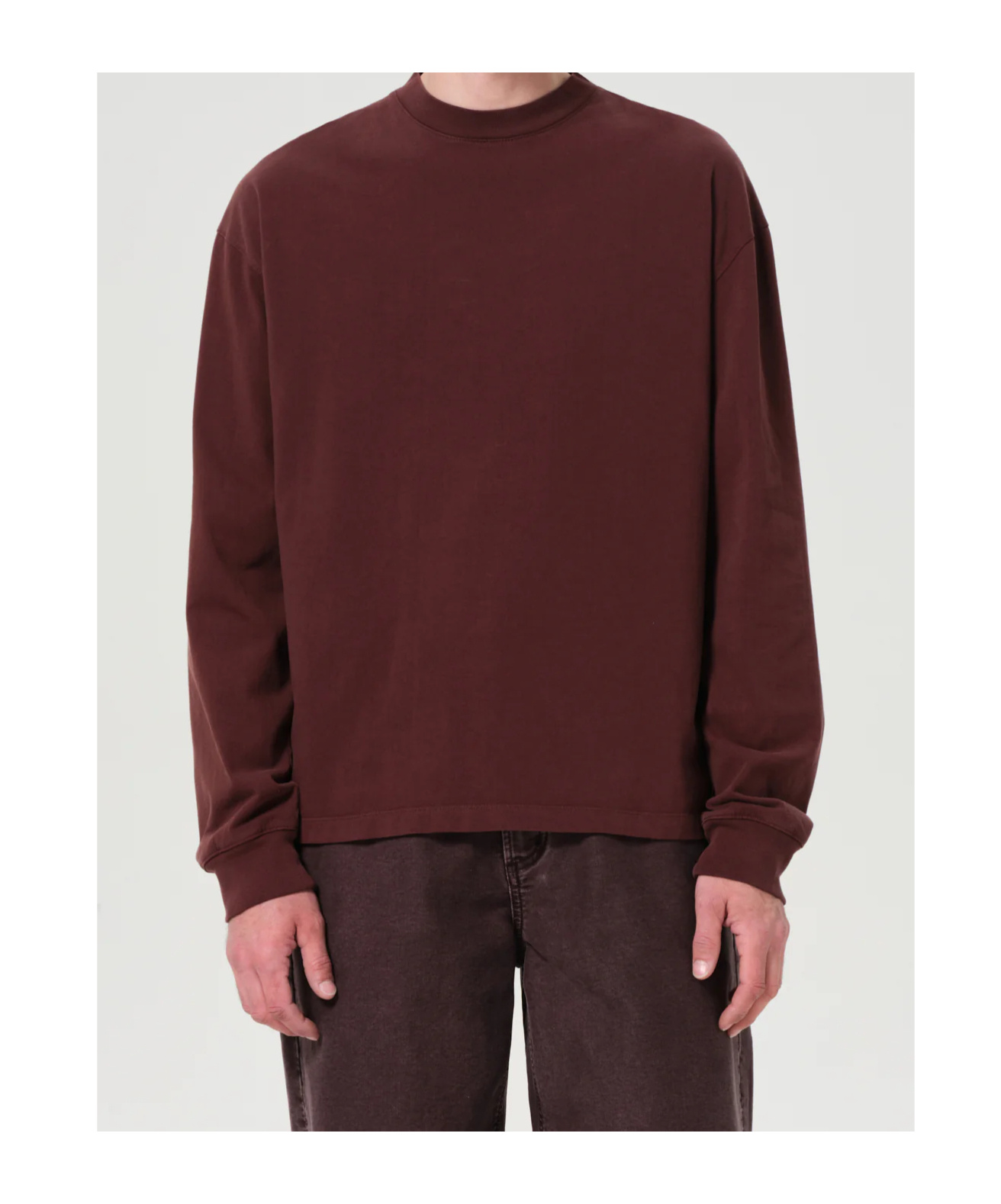 Agolde Asha Long-sleeved T-shirt In Brown