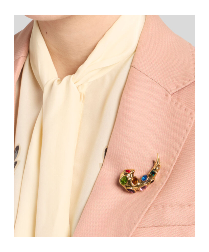 Etro Paisley Brooch With Crystals