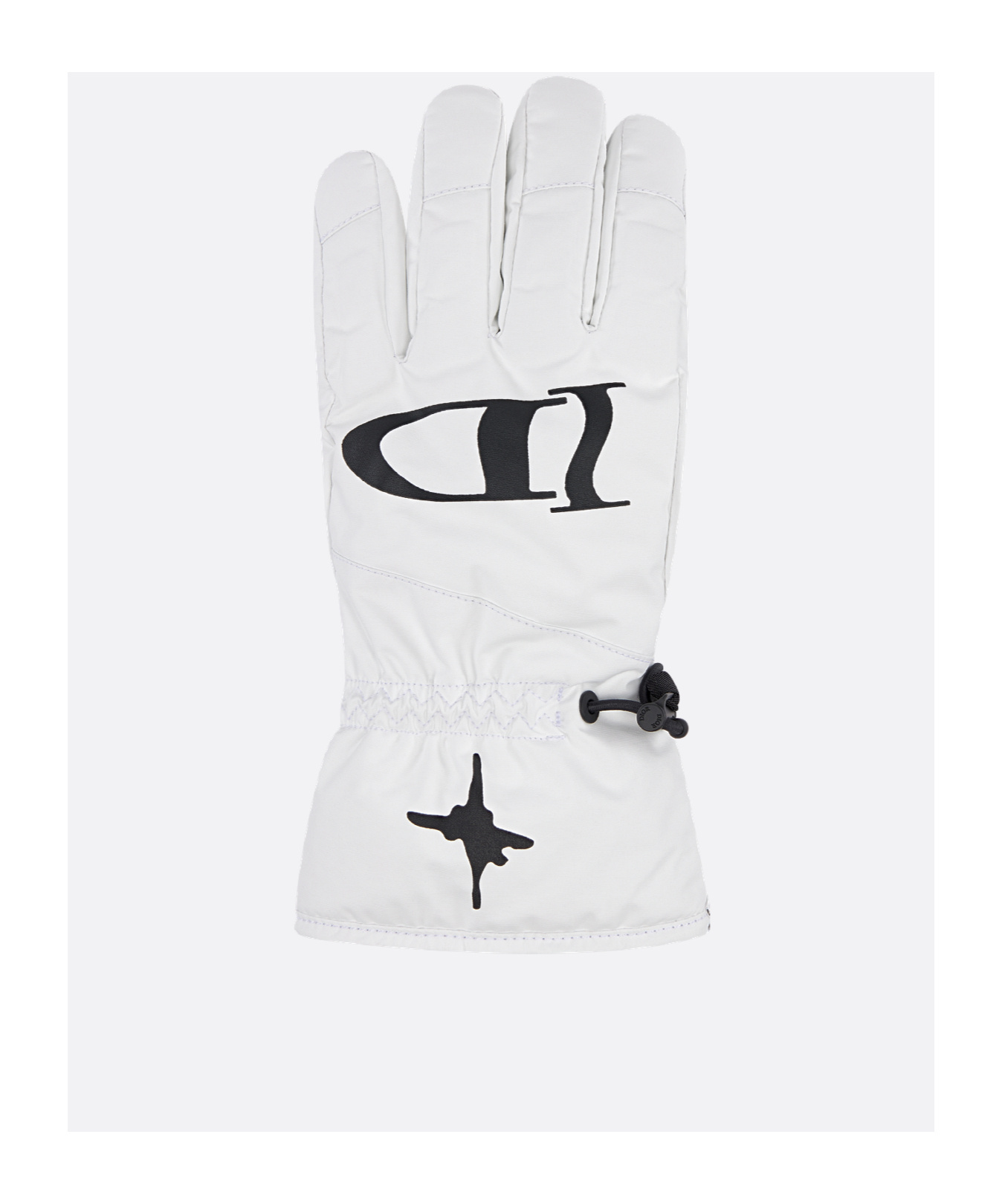 Dior Logo Ski Gloves In White