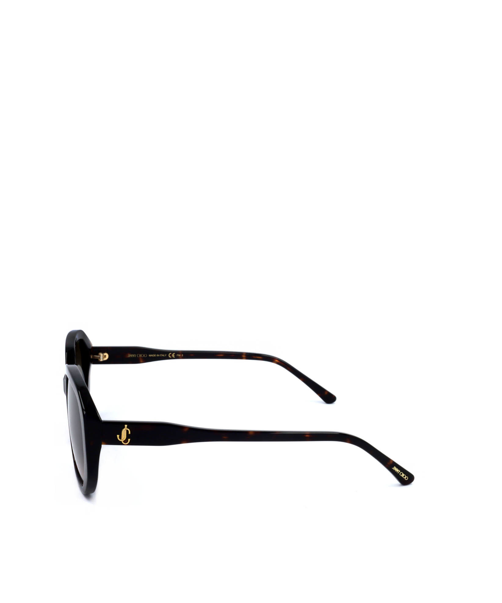 Jimmy Choo Full Frame Sunglasses In Black