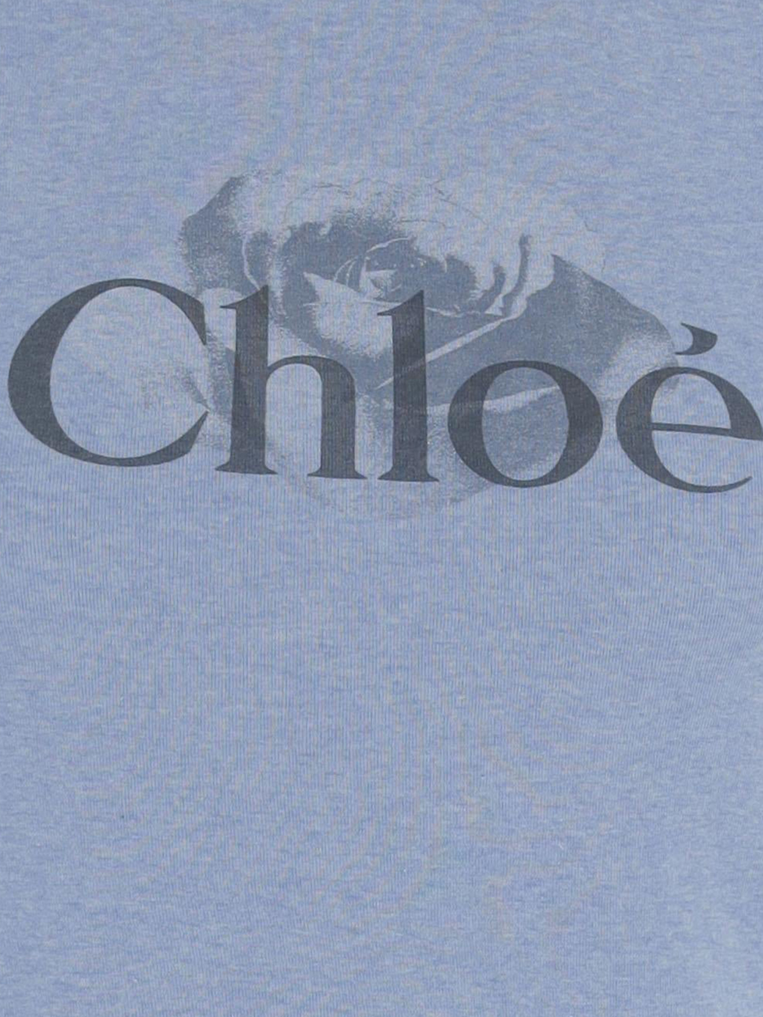 Chloé Short Sleeve Crew Neck T-shirt With Trim In Blue