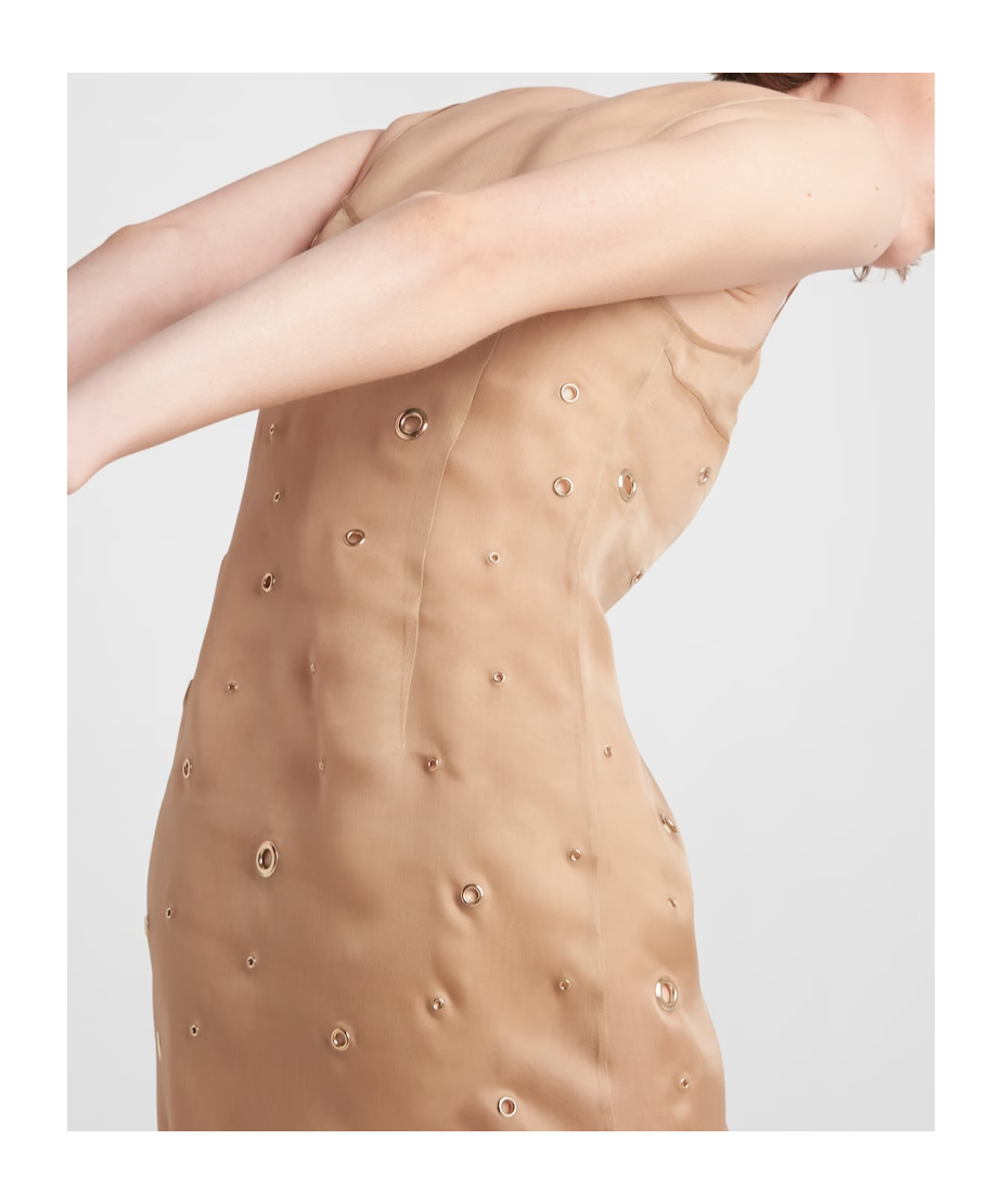 Prada Women's Beige Organza Dress In Brown