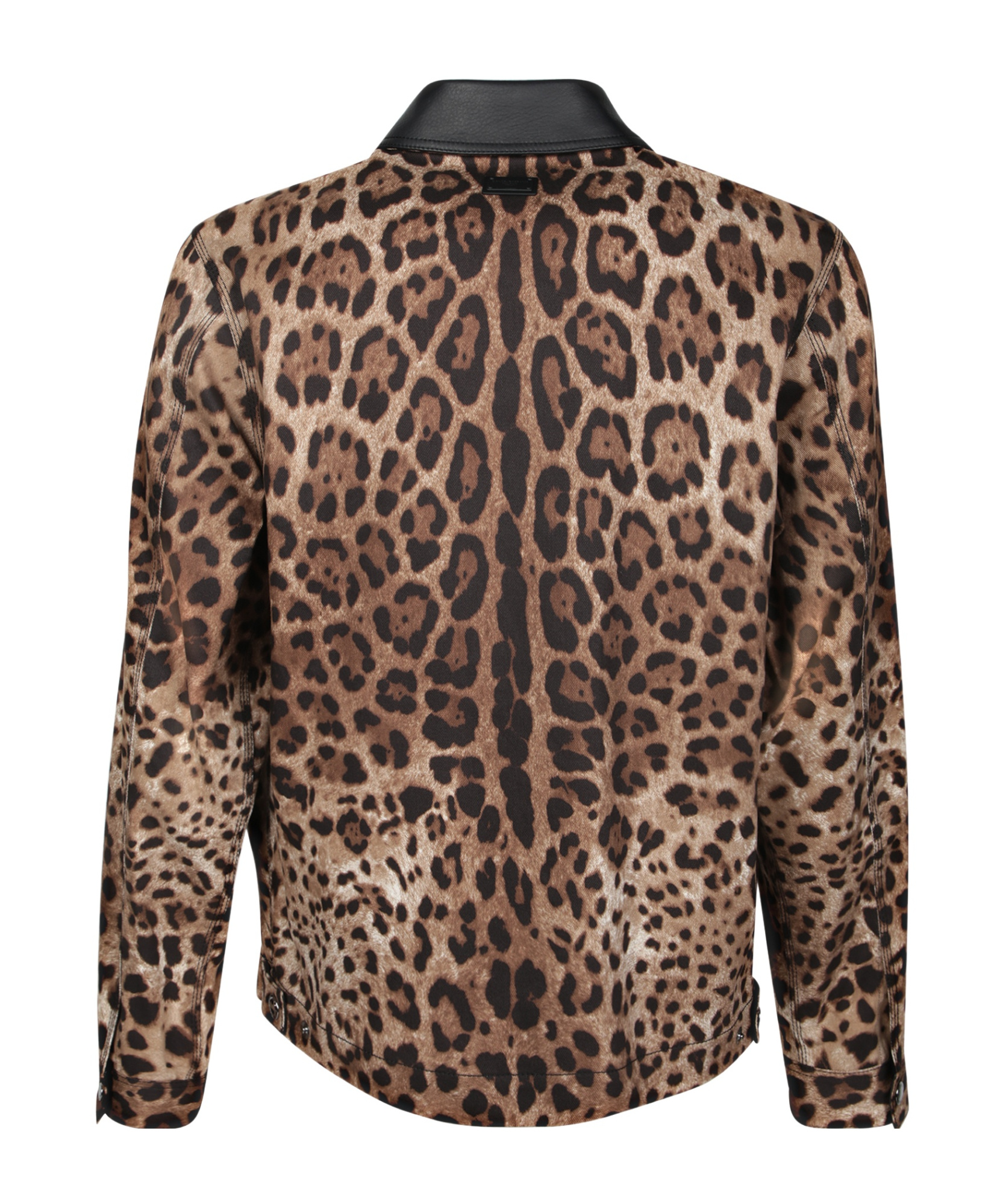 Dolce & Gabbana Leopard Print Jacket With Black Leather Collar In Animalier Brown