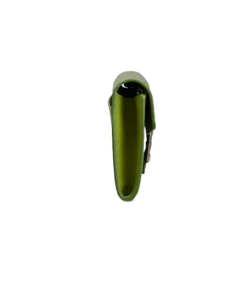 Roger Vivier Belle Vivier Wallet On Chain In Patent Leather In Green