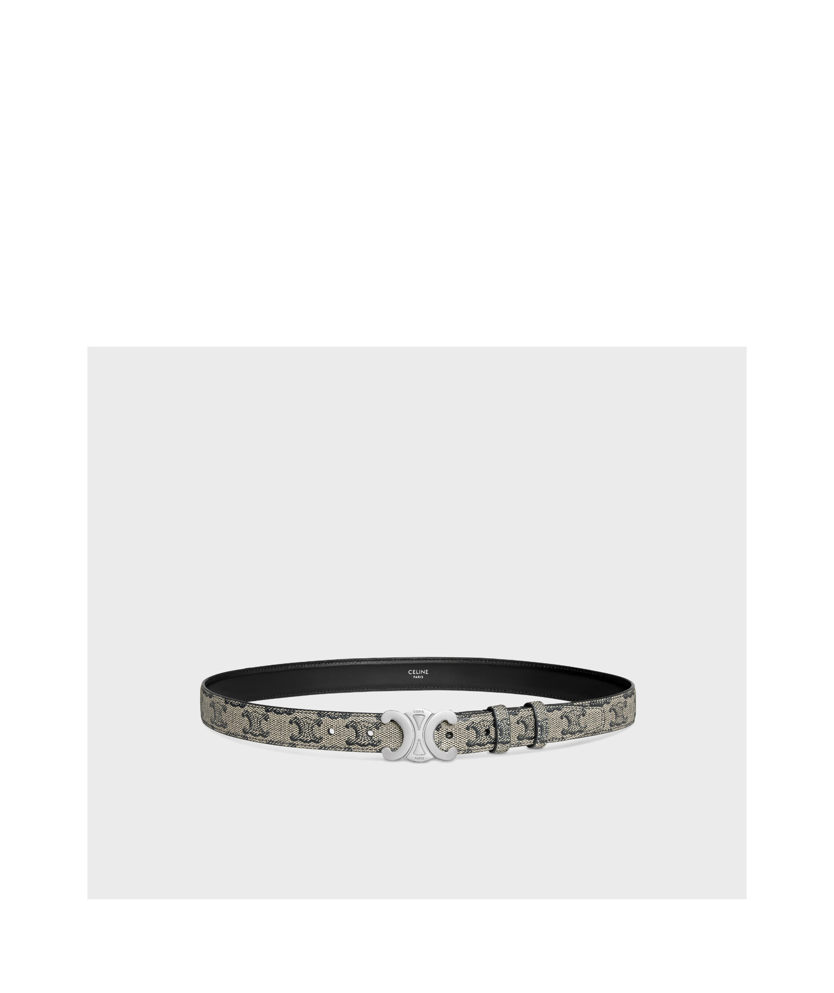 Celine Medium Logo Printed Belt In Gray