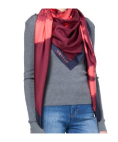Alexander Mcqueen Skull Pattern Scarf In Burgundy