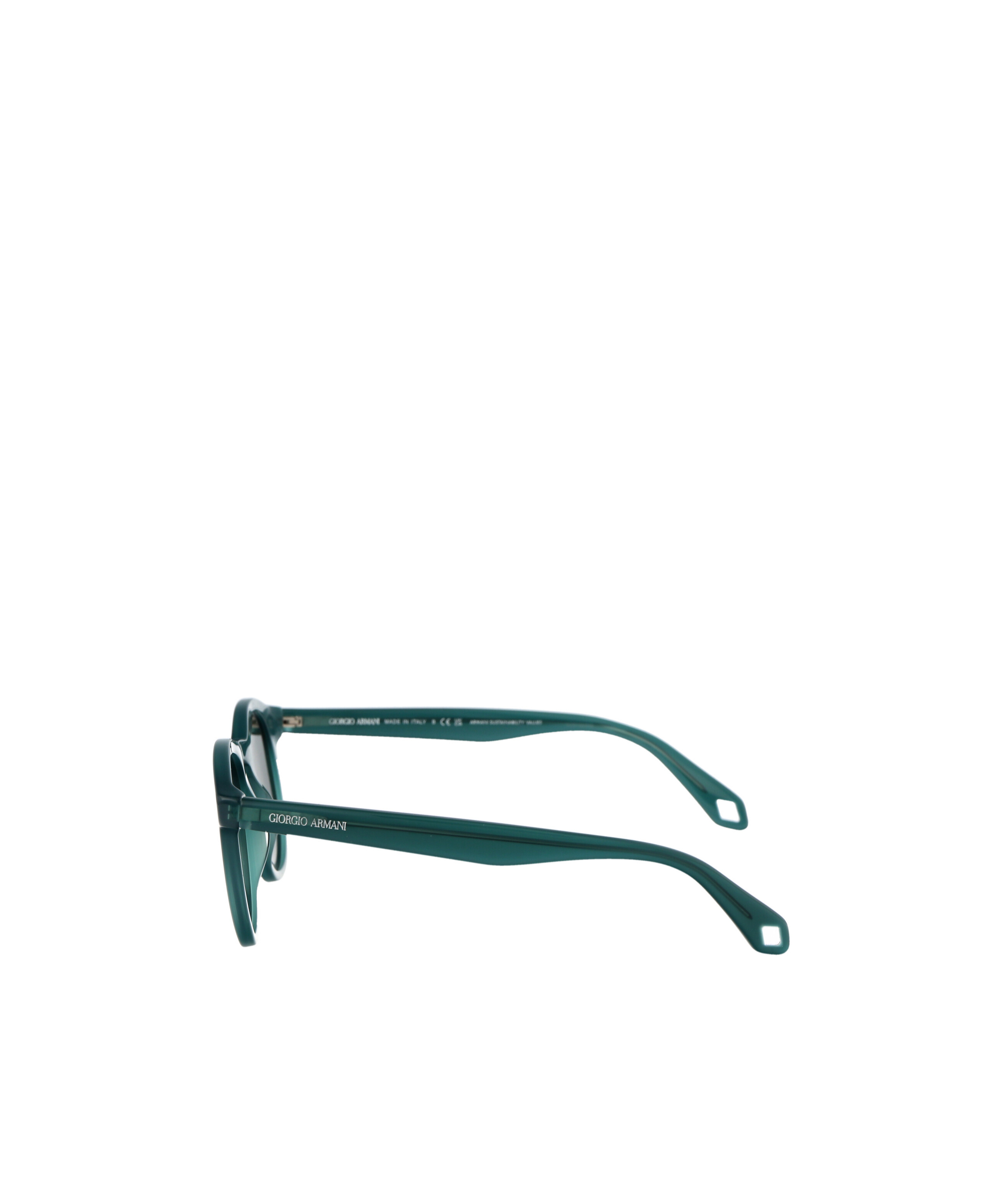 Giorgio Armani 0ar8192 Sunglasses In Green