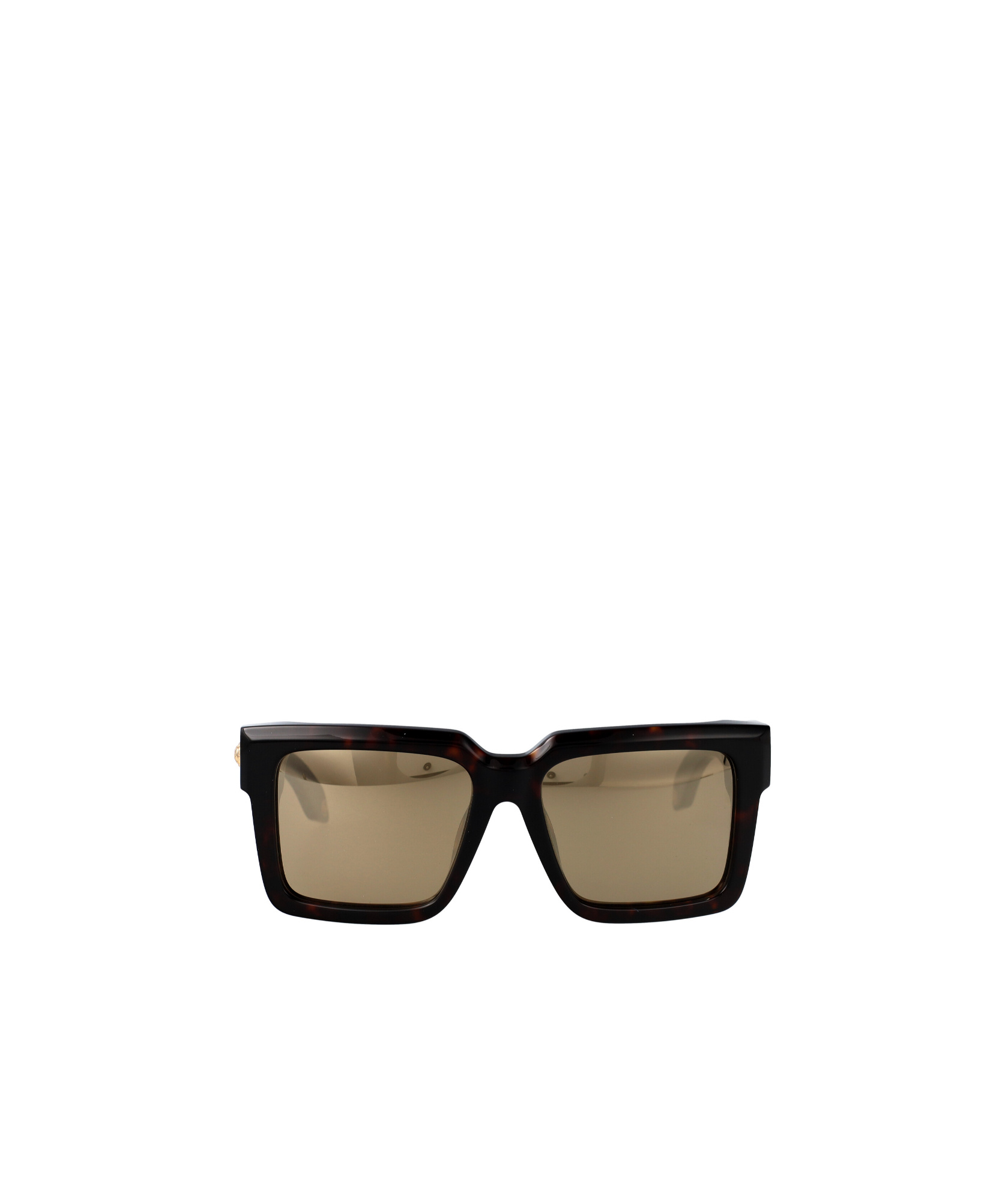 Roberto Cavalli Src055 Sunglasses In Brown