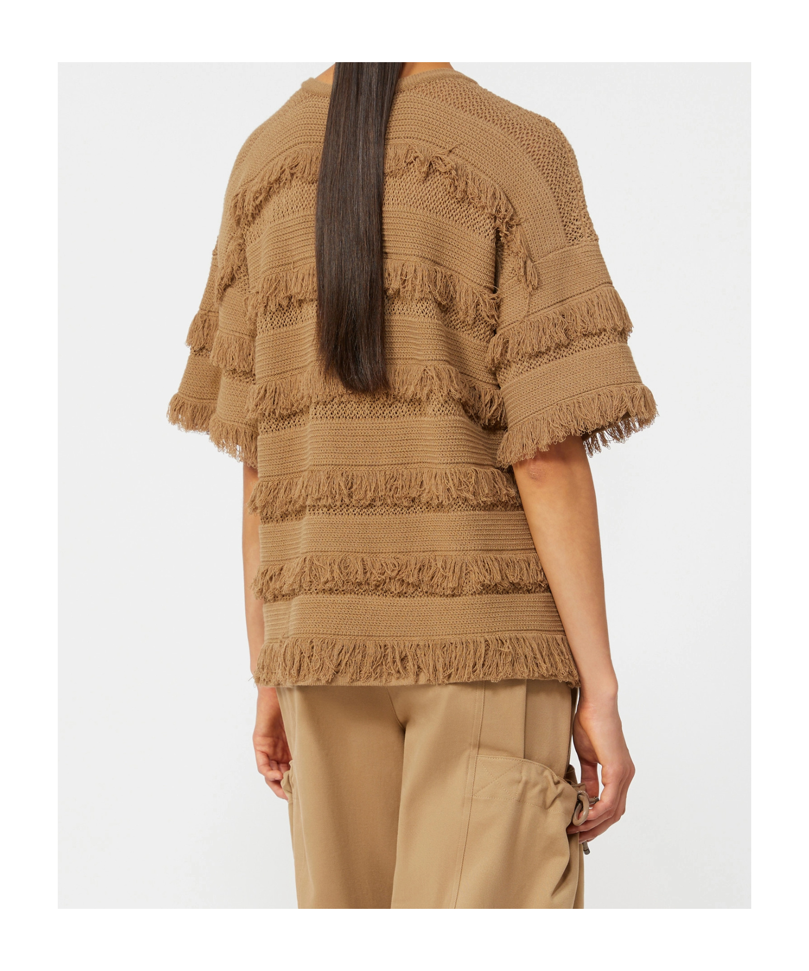 Max Mara Crew Neck Short-sleeved Knit Sweater In Brown