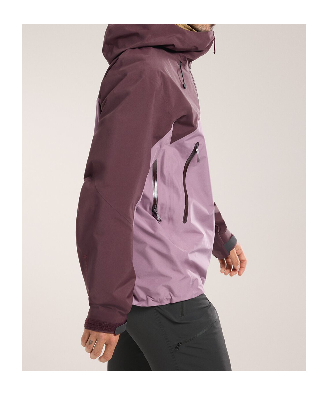 Arc'teryx Beta Ar Hooded Jacket In Multicolor