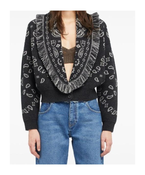 Alanui Bandana Wool And Cashmere Cardi-bomber In Gray