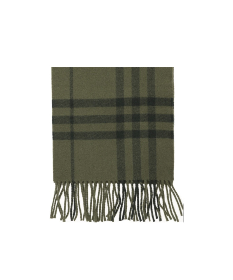 Burberry Plaid Scarf In Green