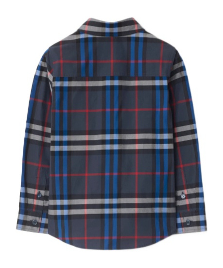 Burberry Check-pattern Cotton Shirt In Gray