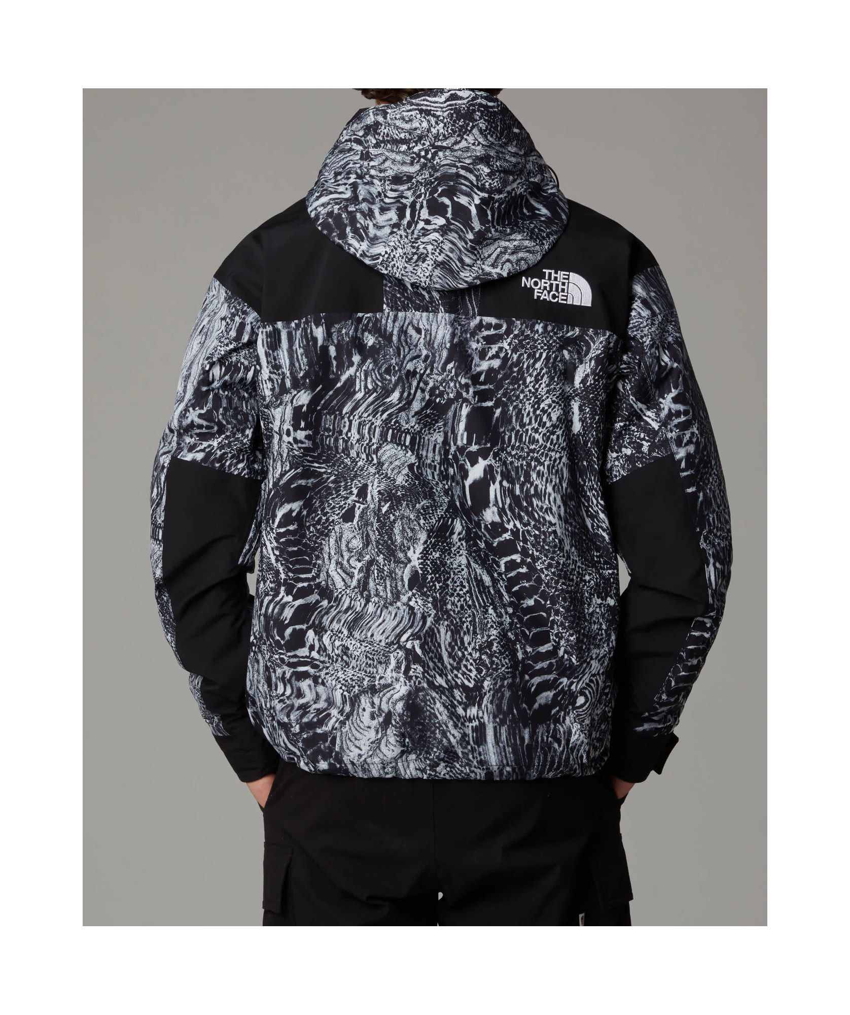 THE NORTH FACE MOUNTAIN JACKET