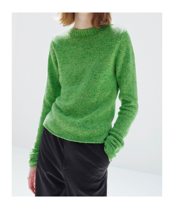 Auralee Crew-neck Sweater In Green