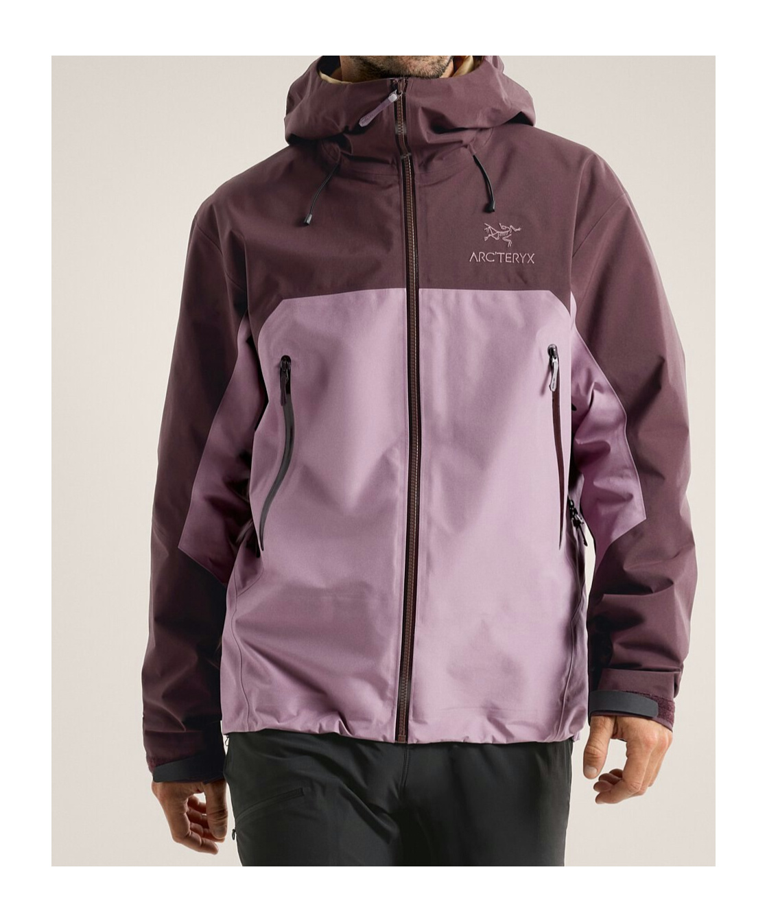 Arc'teryx Beta Ar Hooded Jacket In Multicolor