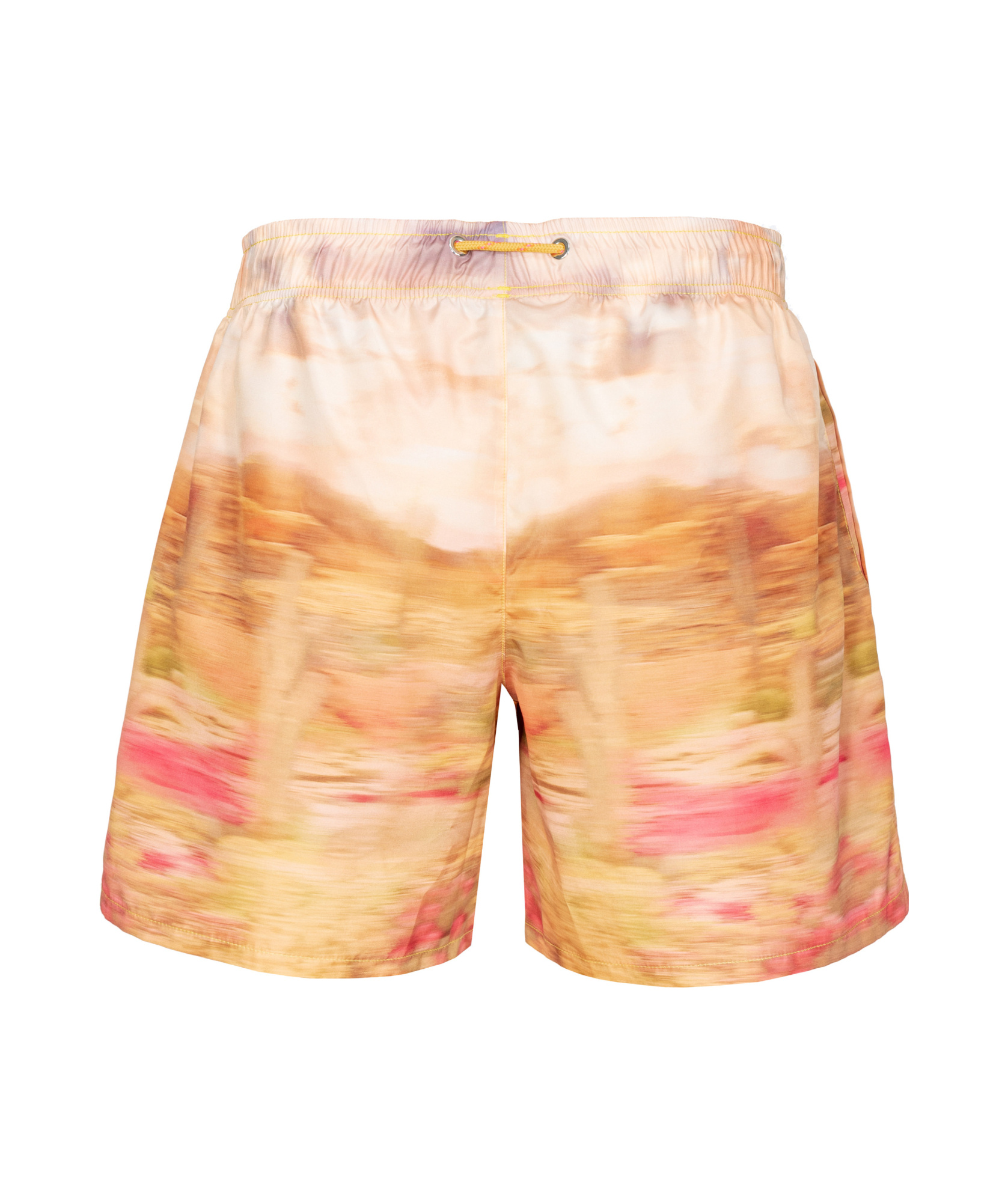 Pinko Printed Shorts In Nude