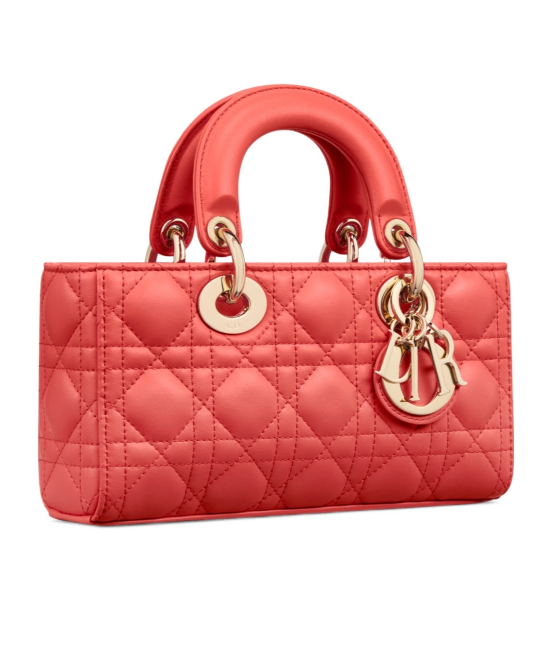 DIOR SMALL DIORIVIERA LADY D-JOY BAG