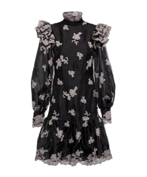 Erdem Nella Floral Embroidered Silk Minidress In Black