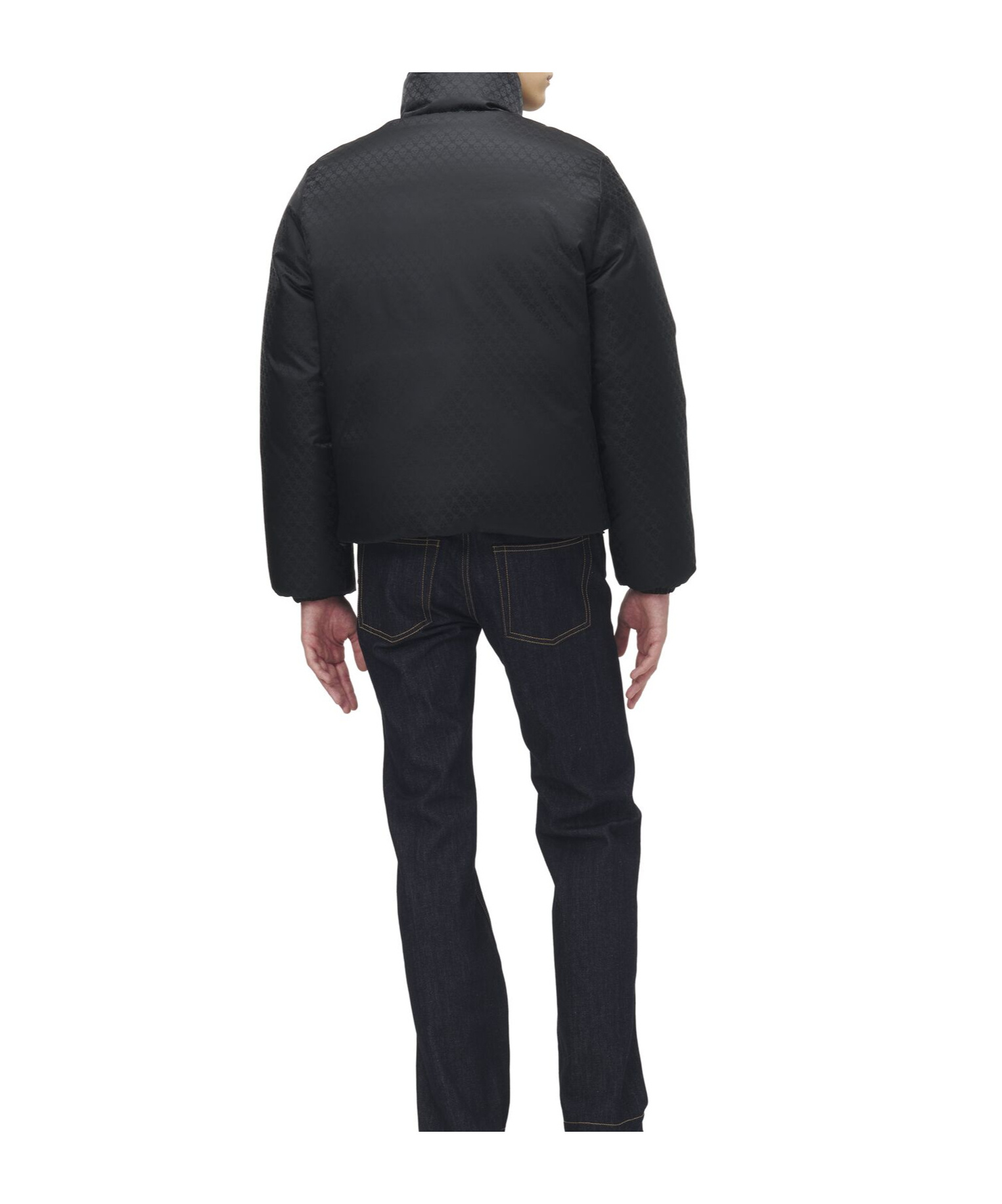 Alexander Mcqueen Men's Skull Jacquard Puffer Jacket In Black In Black