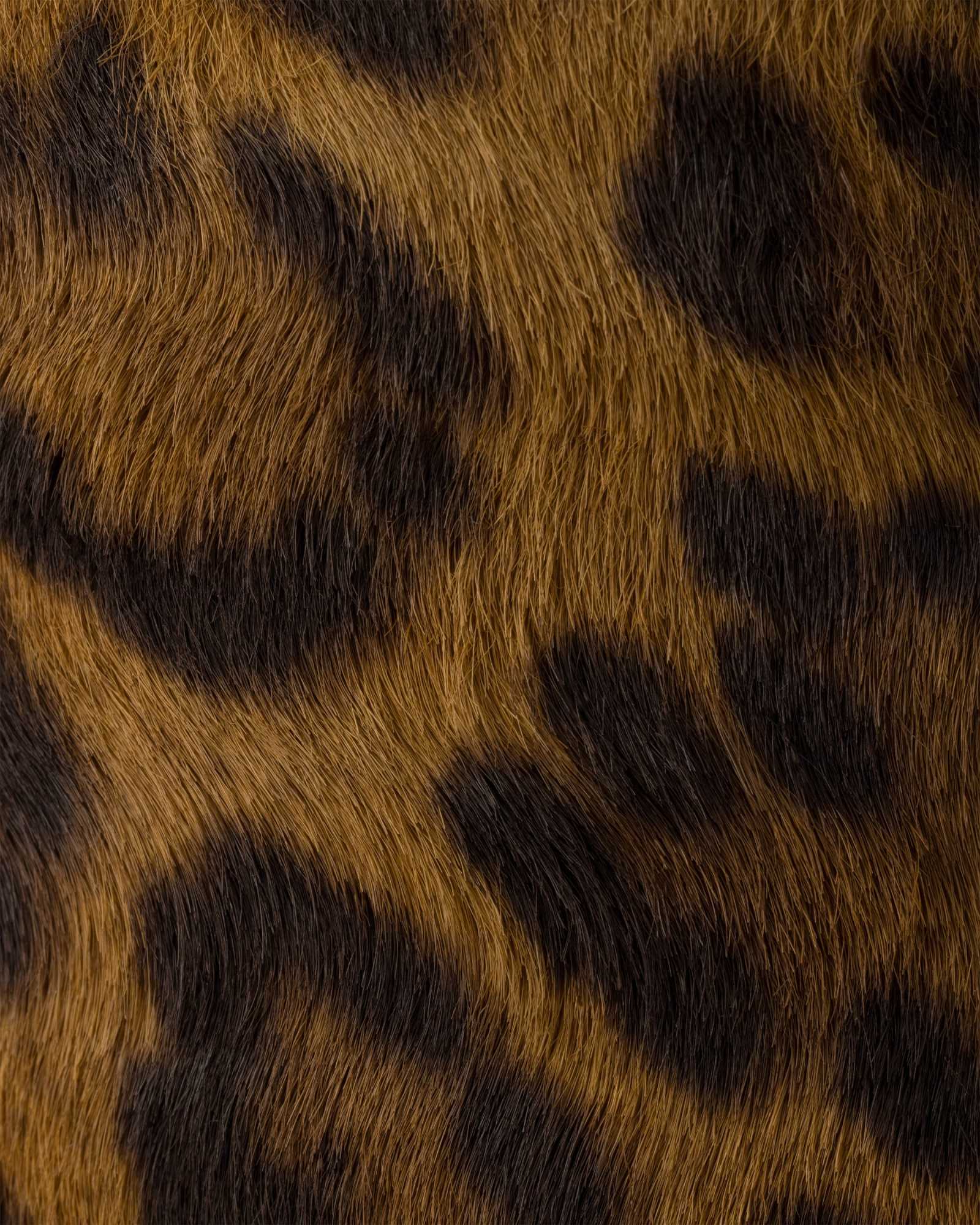 Prada Leopard Calf Hair Flat Mules In Honey-colored