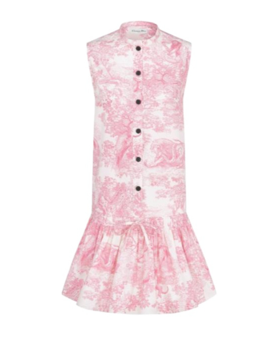 Dior Iviera Short Dress In Pink