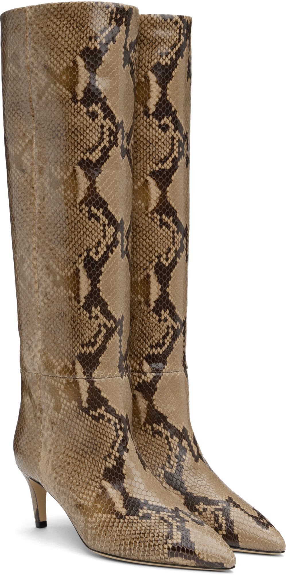 Shop Paris Texas Pointed Toe Boots