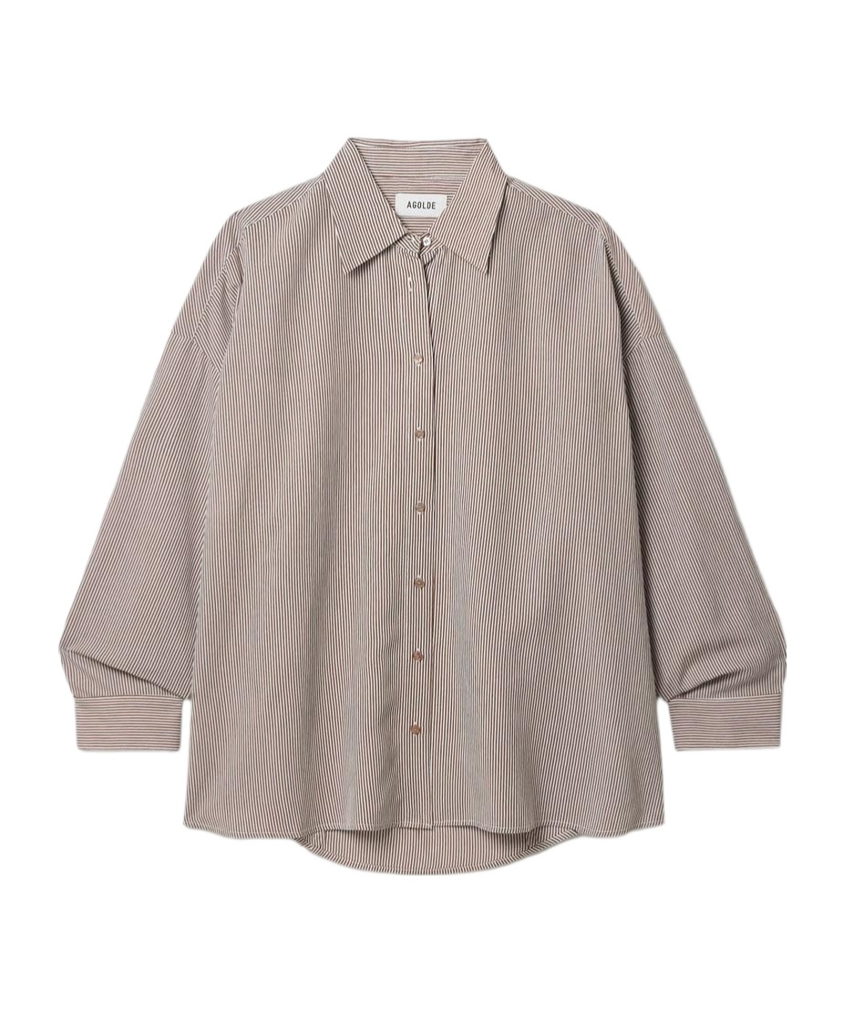 Agolde Striped Button-down Shirt In Brown