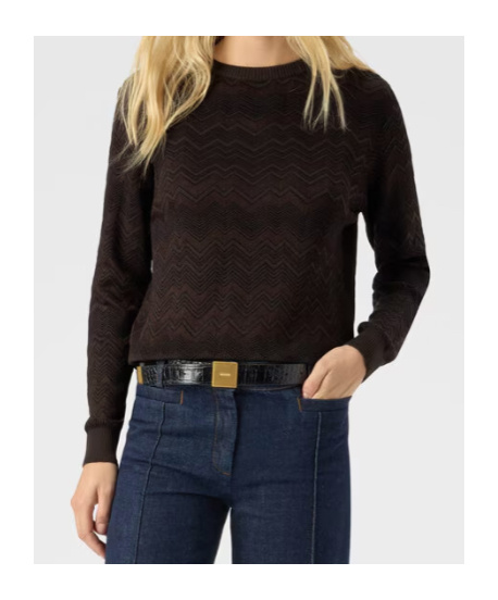 Missoni Crew-neck Sweater In Brown