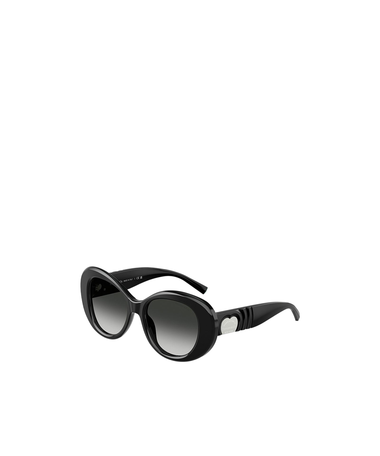 Tiffany & Co Full Frame Sunglasses In Black