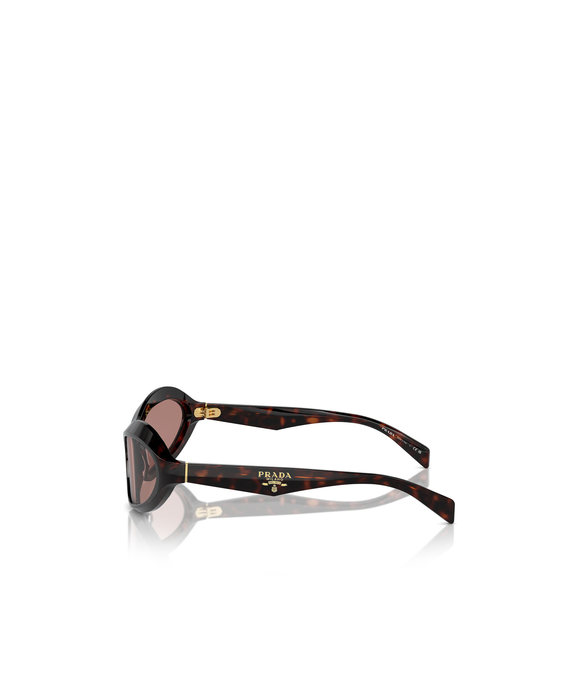 Prada Pr A20s Root Tortoise Sunglasses In Brown