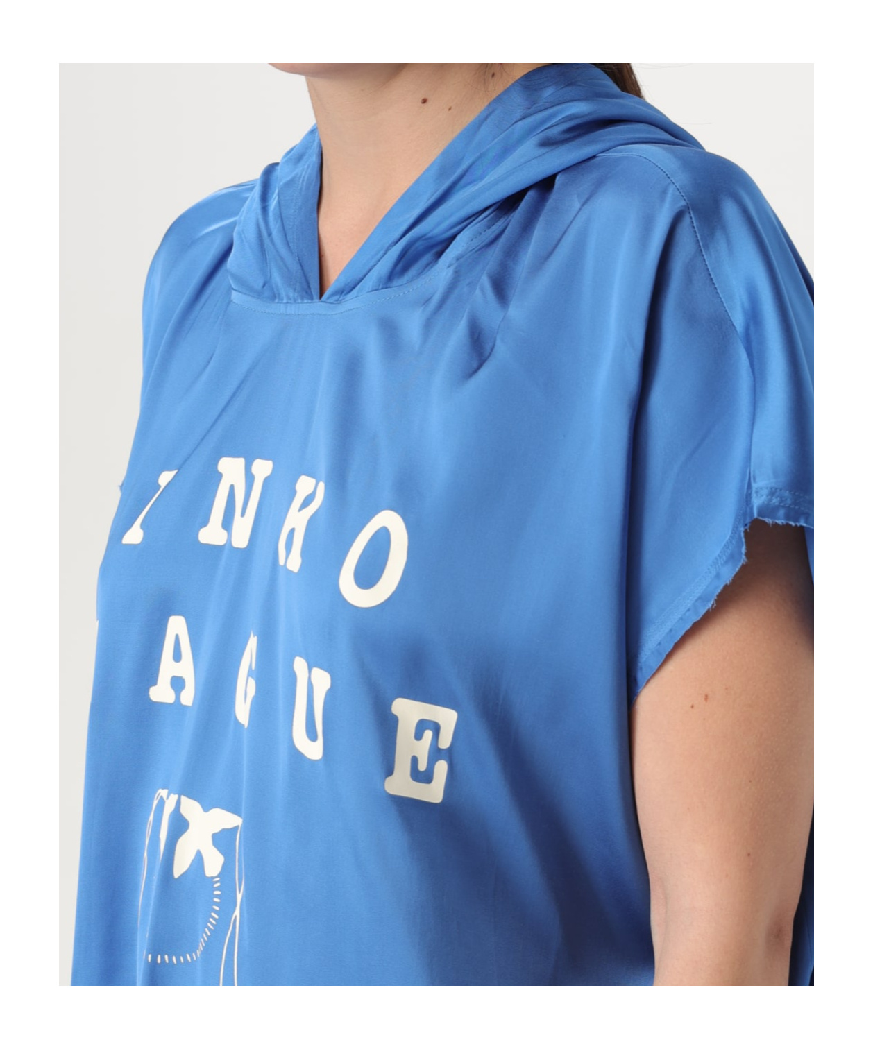 Pinko Hoodies In Blue