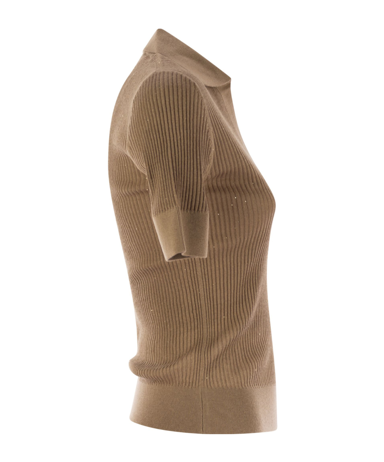 Max Mara Short-sleeved Polo Shirt In Brown