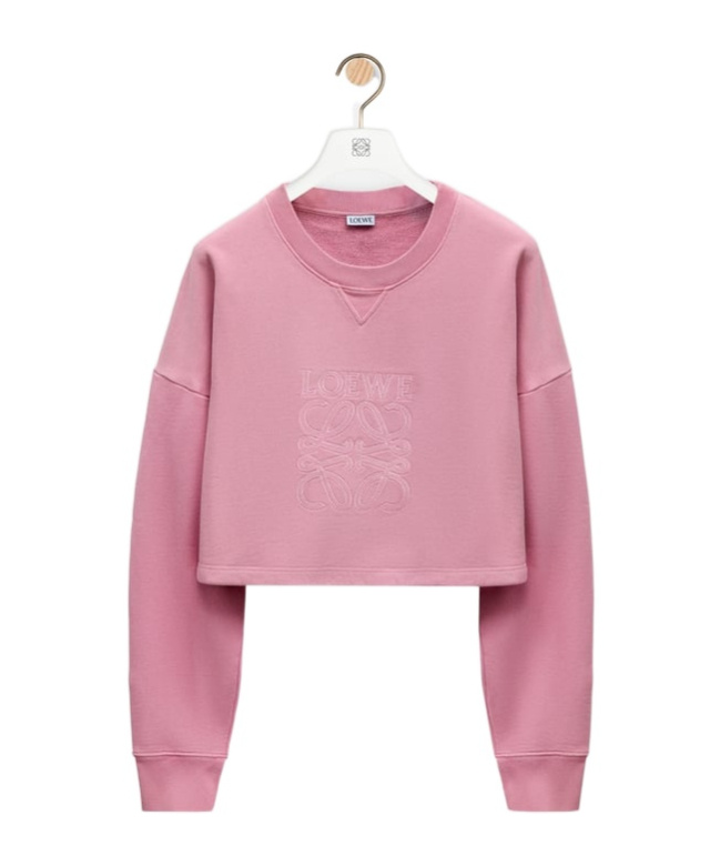 Loewe Round-collar Long-sleeve Hoodie In Pink