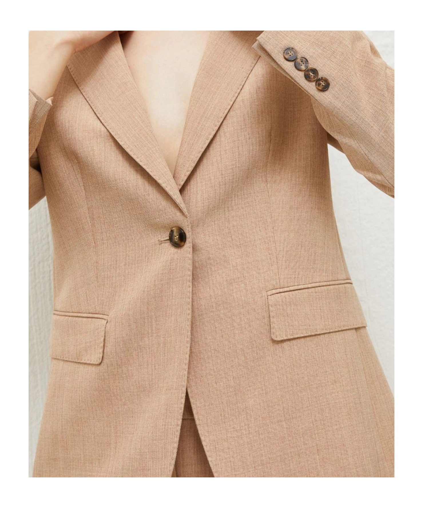 Marella Banfy Blazer In Light Brown In Nude