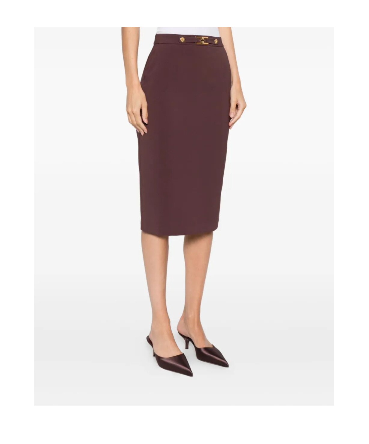 Elisabetta Franchi Button-fastening Pencil Skirt In Brown