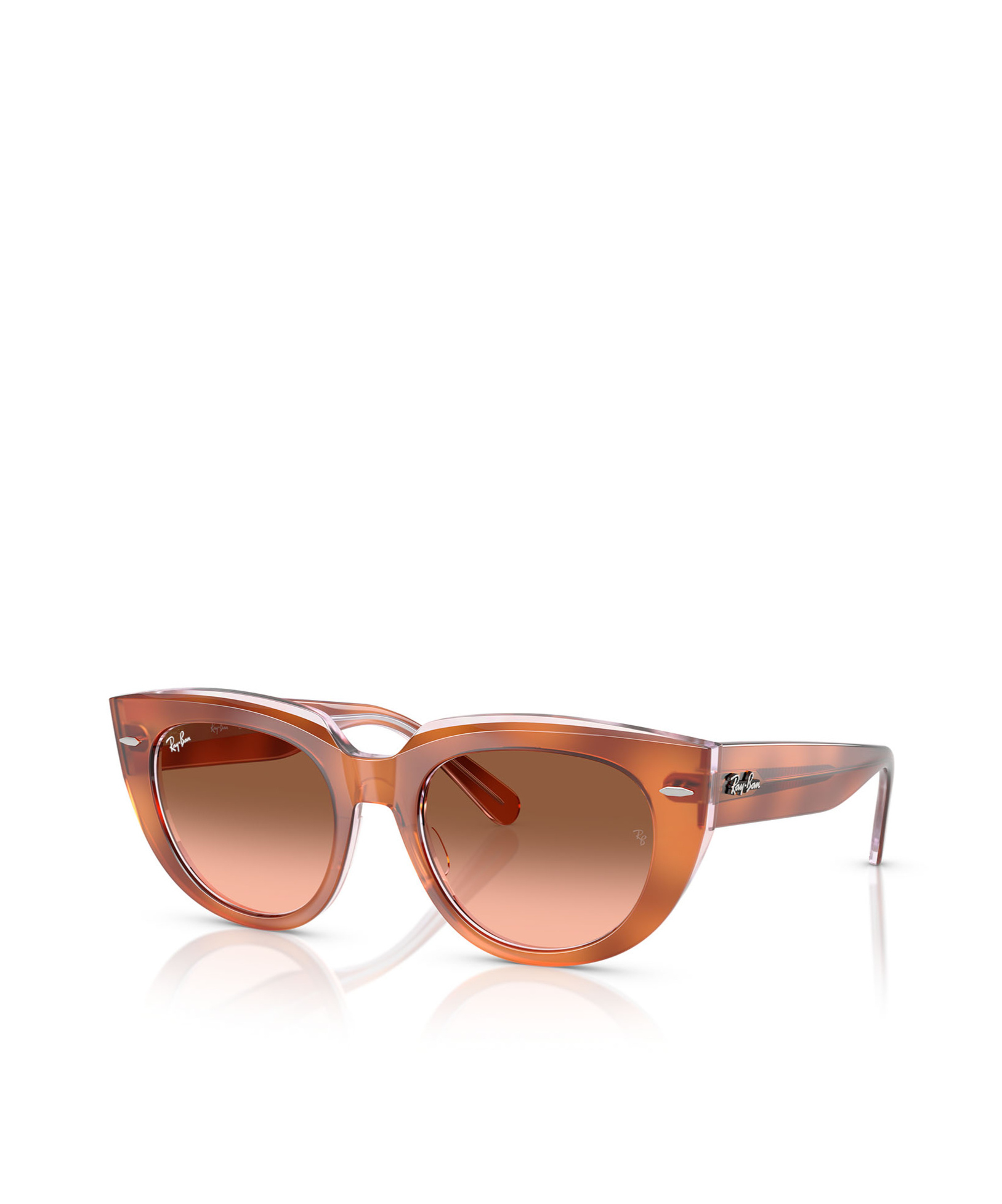 Ray Ban Full Frame Sunglasses In Brown
