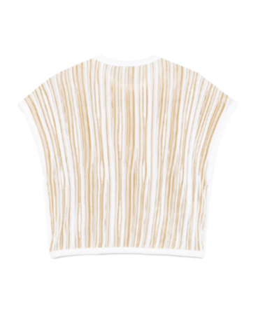 Giambattista Valli Striped Lurex Top In Multi