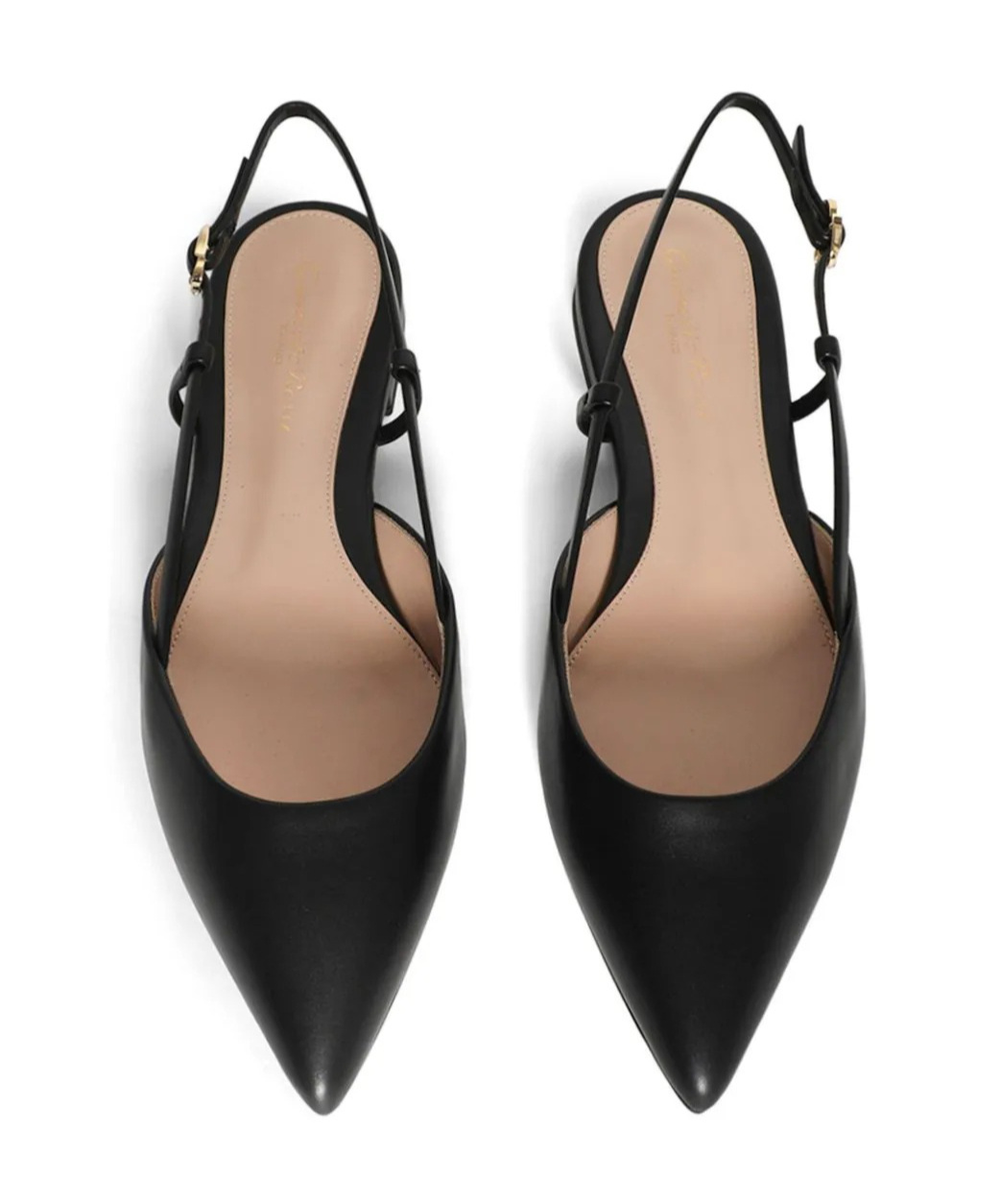 Gianvito Rossi Ascent 05 Leather Slingback Point-toe Flats In Black
