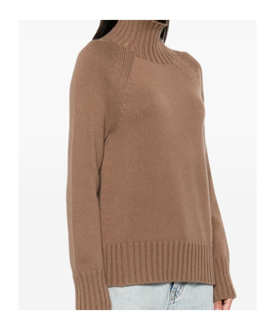 Max Mara Wool And Cashmere Turtleneck In Brown