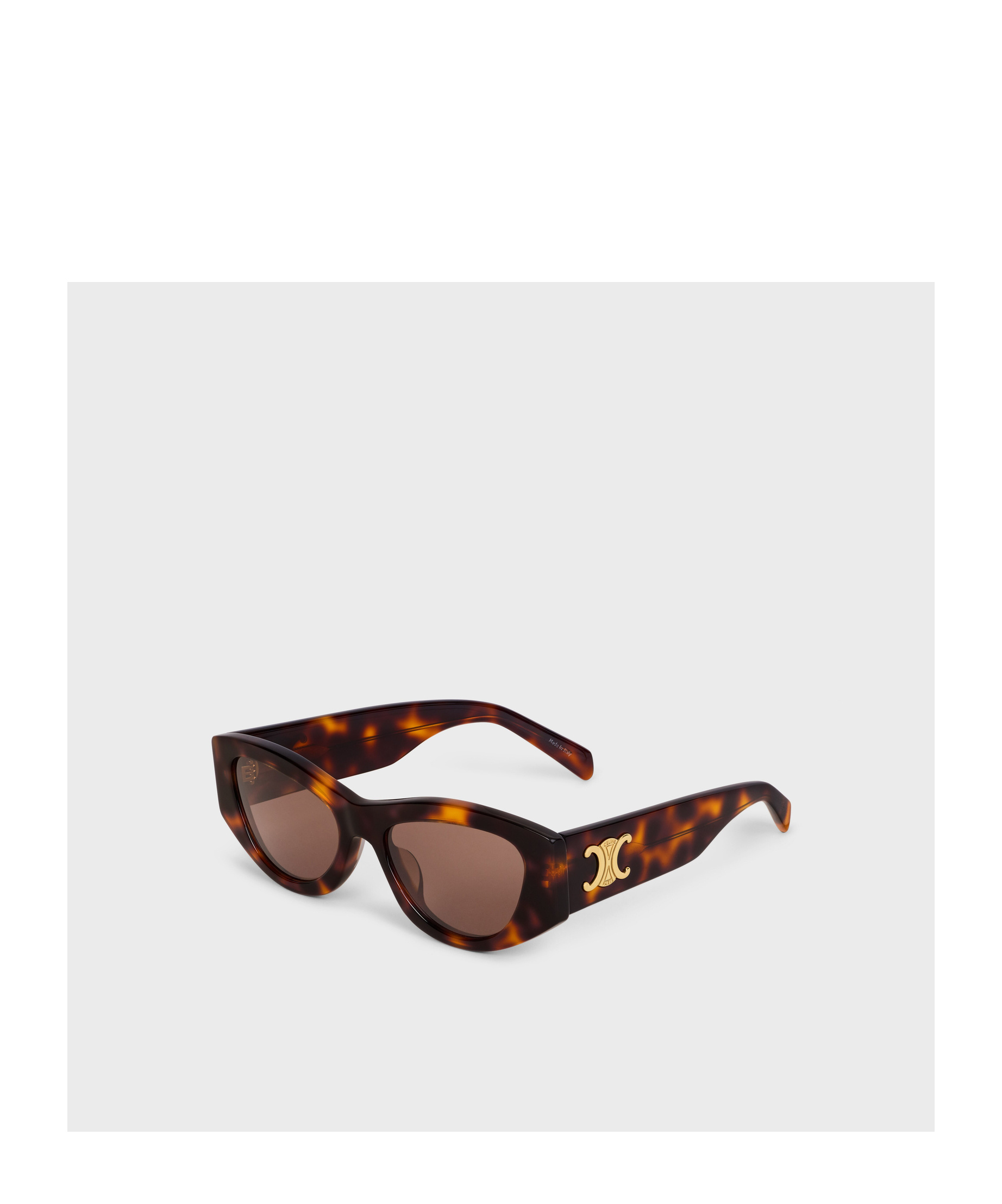 Celine Full Frame Sunglasses In Brown