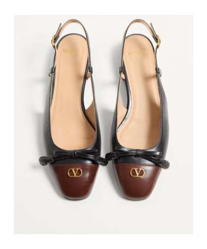 Valentino Valet Du Roi Leather Slingback Ballerina Flat In Black/coffee